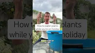 How to water plants while on holiday #garden #gardening