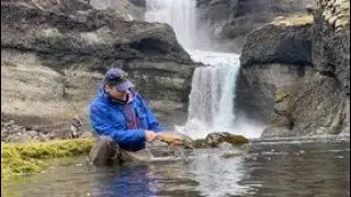 &Oacute;f&aelig;rur me&eth; Fishpartner