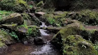 4K-HDR | Relaxing River Flow Sounds for Deep Sleep and Mind Recovery | Stress Relief Nature Ambience