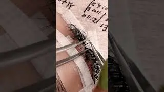 DOLL EYE: Volume Lash Extensions 2D 😍