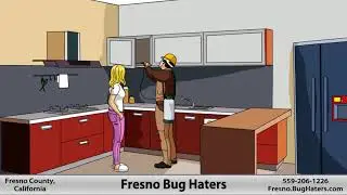 Fresno Pest Control | 559-206-1226