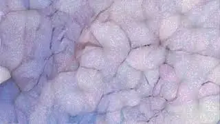 Subburben - Micro Creatures (Offical Music Video)