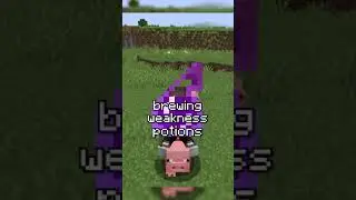 curing zombie villagers with no weakness potions... #shorts