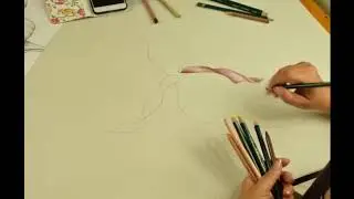 Time lapse del 