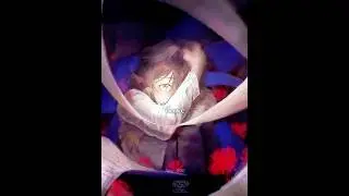 Тгк - Amy_000 || злодейский путь Ер ( глубинная тьма) и Ши Ён (Шен) #злодейскийпуть #шен