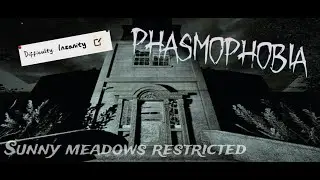 Phasmophobia Gameplay Insanity Difficulty Sunny meadows restricted