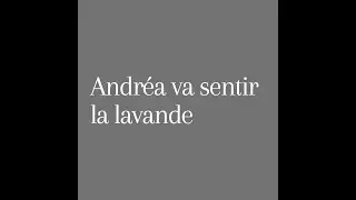 28 novembre : Andr&eacute;a et le Persil lessive liquide
