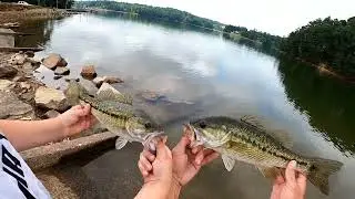 Bank fishing Lake Lanier June 5th Part 1.