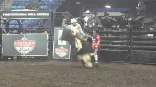 Sevi Torturo 87 on GRS 63 Forget Me Not. #PBRCF '12. Rd 3
