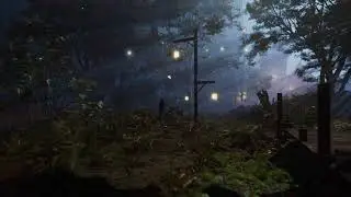 Ambience Of Misty Night In The Forest : Rain, Crickets, Forest Nature Sounds
