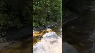July 22, 2024 - Mill Creek Bed - Arrival to Swimming Hole - Part 5 of Series