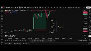 How to measure pips in Gold (xau/usd) using measure tool in Trading view?