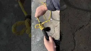How to make easy camping knot #shorts #git #diy #campingknots #knot