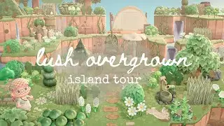 this lush waterscaped island took my breath away🌿ambrose | animal crossing: new horizons da tour
