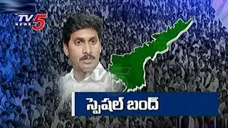 YSRCP Bandh Today | AP Special Status | TV5 News