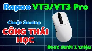 Rapoo VT3: Ergonomic Mouse - 8000Hz Polling Rate! Excellent FPS Gaming Mouse at the price of arou...