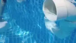 DIY swimming pool surface skimmer