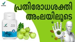 VESTIGE AMLA MALAYALAM
