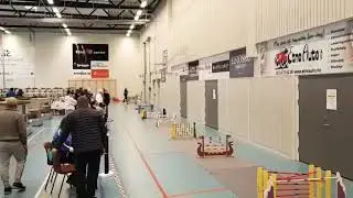 Finaleomgang Norgesmester Kaninhopping  2019
