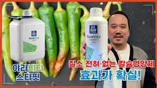 질소없는 천연칼슘 엽면시비 영양제 야라비타 스타핏 | 침투, 확산, 전착성분 모두 포함! | 농사 100단