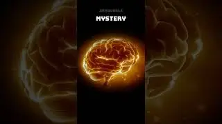 MYSTERY #motivation #mindset #quotes