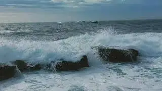 #jkwadventures #boisterouswaves  Boisterous Waves - Coogee Beach - Sydney - Australia - Nsw