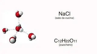 L'acqua, il solvente della vita