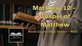 Matthew Chapter 12 - AudioBible (Audiobook) | World English Bible (WEB) Version