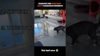 RANKING THE GREATEST CATS TAKEDOWN MOMENTS