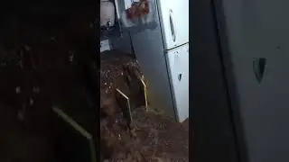 Mumbai flood 2020