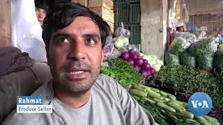 Pandemic Deals Blow to Afghanistan's Once-Thriving Agriculture Sector
