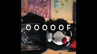Possibly the worst video on furry YouTube (shout-outs on helium)