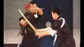 Demonstration of Araki-ryu Kempo