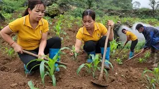 Single Mother - Goes to the fields to grow corn, a friend, helps with work, likes to give
