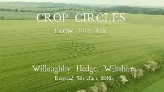 Crop Circles from the Air 2016: Willoughby Hedge, Wiltshire. Reported 5th June