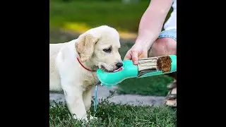 Multifunctional Outdoor Travel Pet Feeder and Poop Scooper