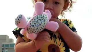 NISSI & JIREH Detachable Universal Pacifier Holder Teether