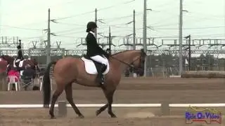 174D Alexandra Flores Junior Beginner Novice Dressage Ram Tap November 2012