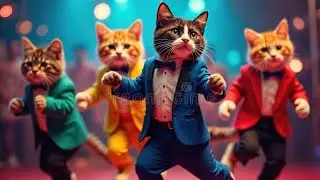 Cutest cat dancing videos funny 🤣💃#cat #funnycatvideos