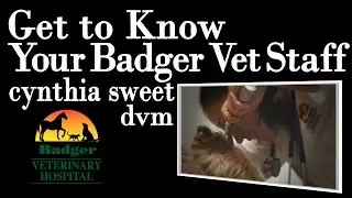 Cynthia Sweet, DVM, Badger Veterinary Hospital in Janesville, WI