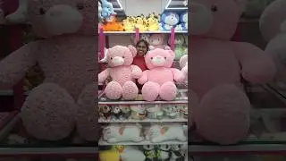 @YNT SOFT TOYS #soft #toys #teddy bear for online order whatsapp 8341522302 🧸🤩🧸😍🧸😊🧸😎🧸🤗