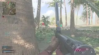 COD WarZone