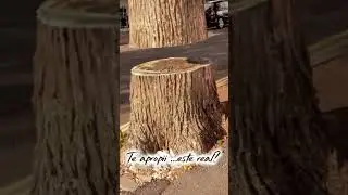 Lectie de viata !