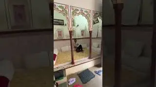 #मेरा देश महान#दियाऔरबाती की हवेली#पुष्कर तीर्थ #shortsvideo #viralsong #viralshort