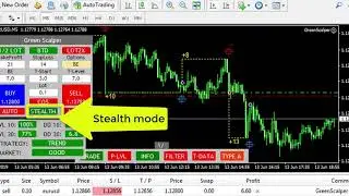 New Greenscalper Robot and indicator Auto trading and Stealth review