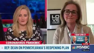 Rep. Dean speaks w/ MSNBC's Alex Witt about VP Biden and PA's re-opening.