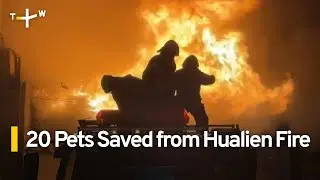 Firefighter Rescue over 20 Animals from Hualien Pet Shop Fire | TaiwanPlus News