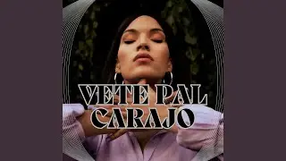 Vate Pal Carajo