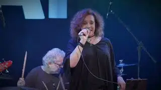 Banda BLACK CAT - The Pretender (Foo Fighters Cover) | ao vivo no Theatro 13 de Maio | SM