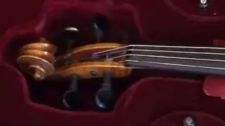 Comprar Viola Belga 4/4 39 cm de segunda mano.